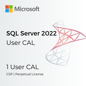 Microsoft SQL Server 2022 - 1 User CAL