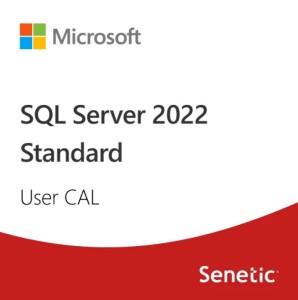 Microsoft SQL Server 2022 - 1 User CAL for Education